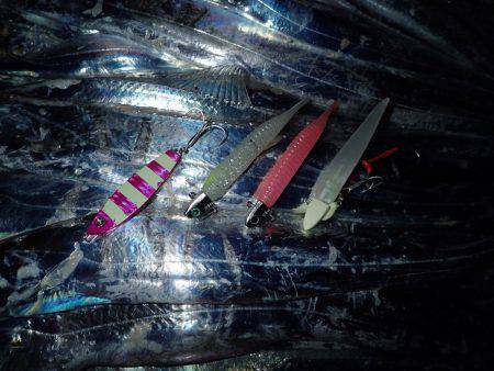 ZZ-STAP&ワインド&FLAP釣法でタチウオゲット!